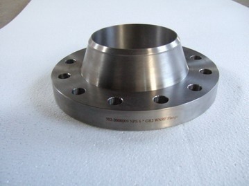 Titanium Gr 2 Flanges